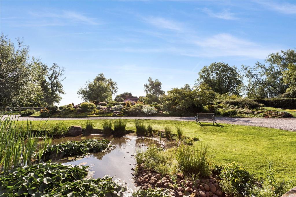 Gardens &amp; Driveway