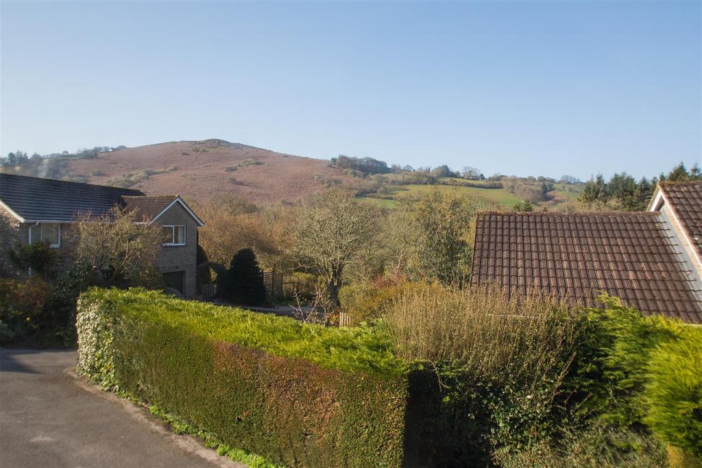 View1.jpg