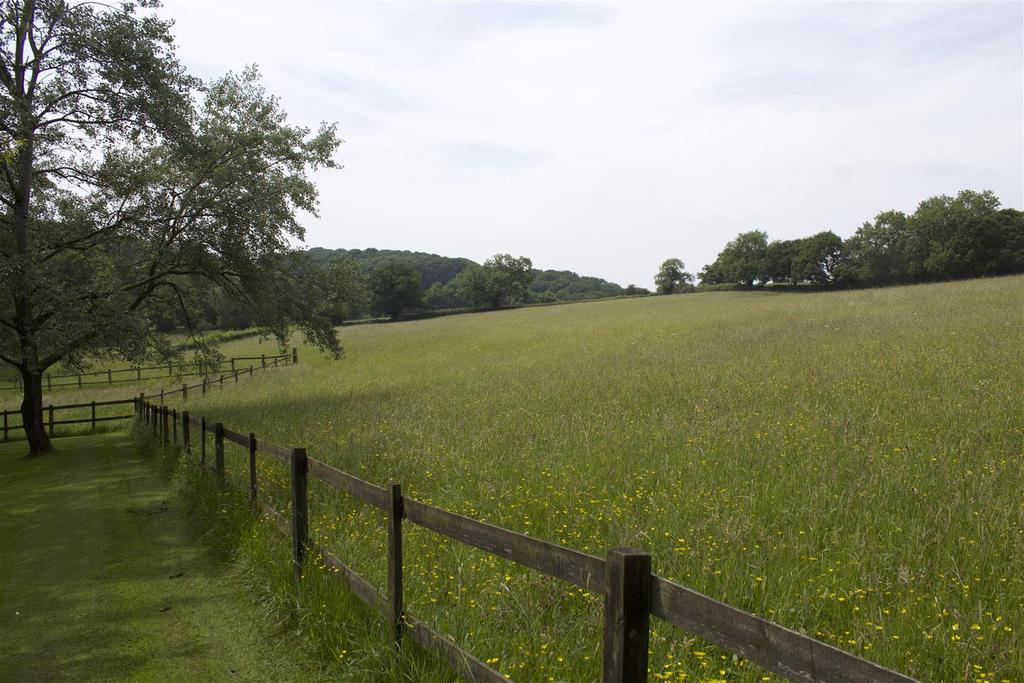 Forde Hall Paddocks.jpg