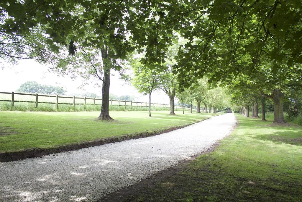 Forde Hall Driveway.jpg