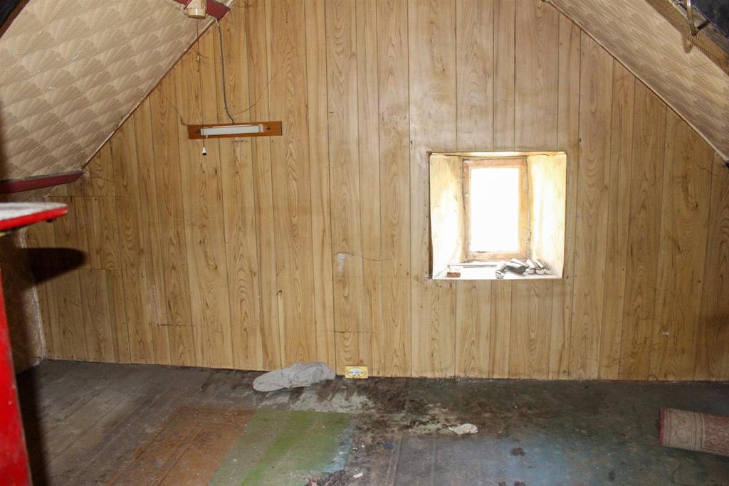 IMG 7250.jpg