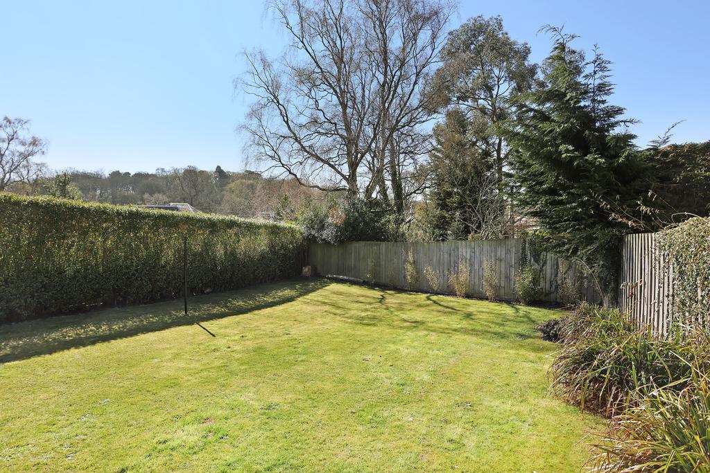 South Facing Garden