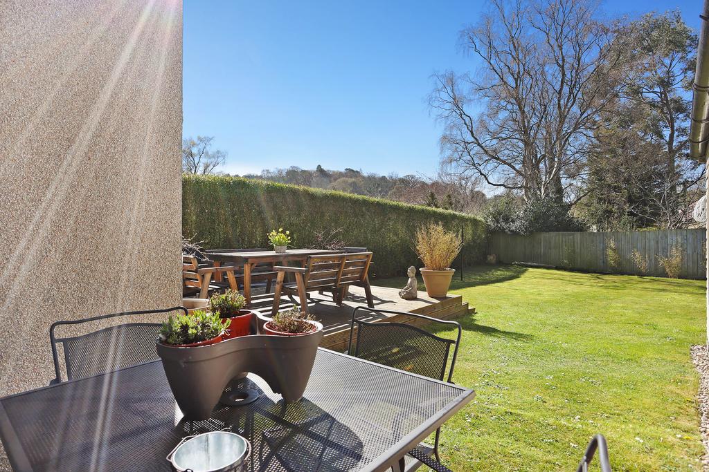 South Facing Garden