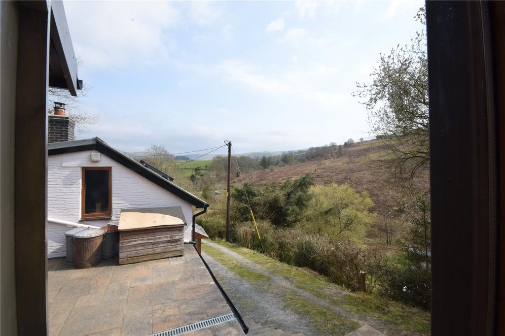 View From Cabin