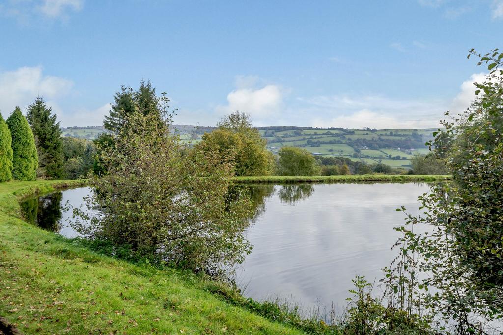 Fishing Lakes 1