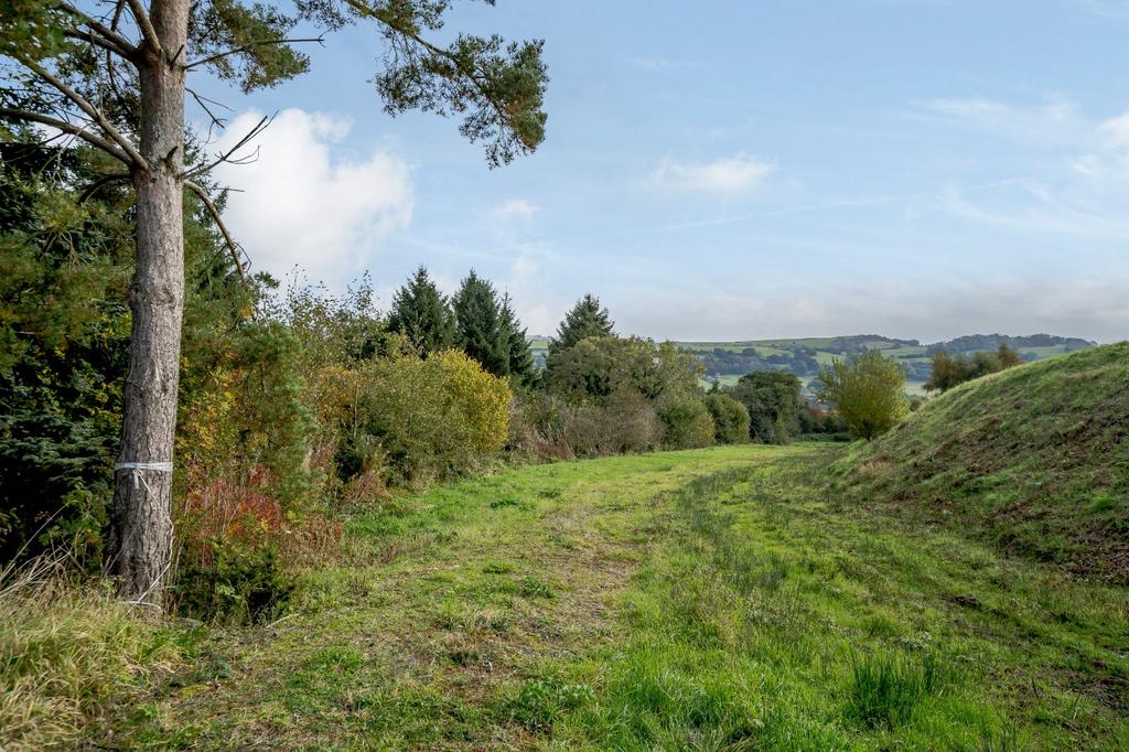 The Land