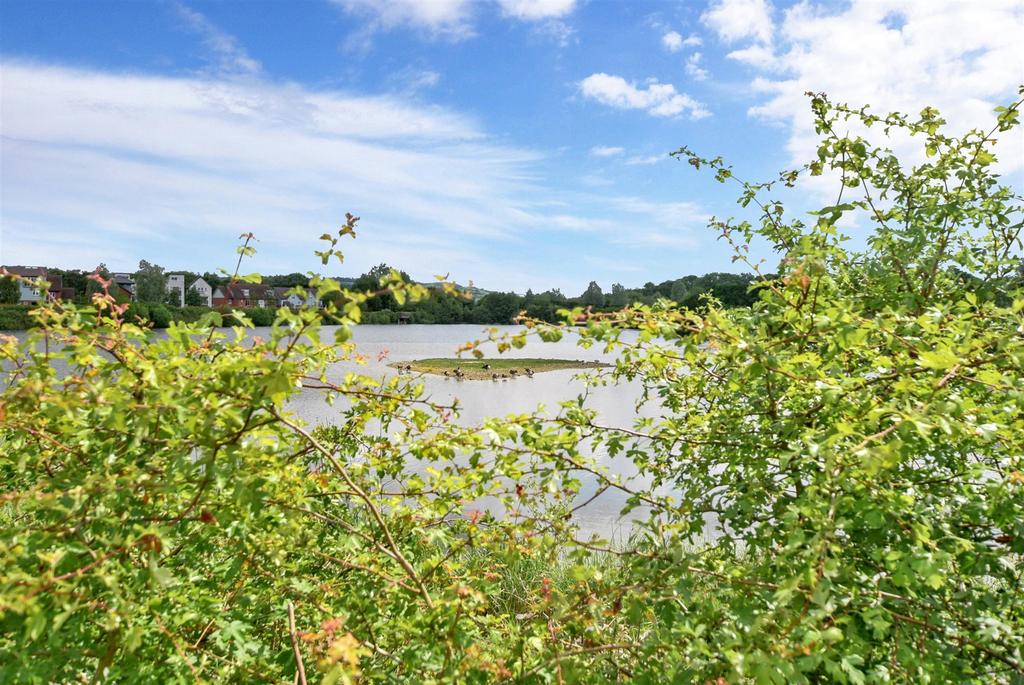 Surrounding Area - New