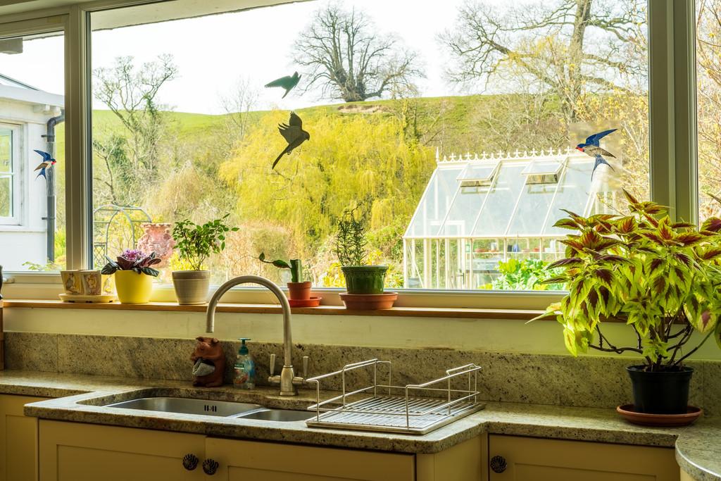 Kitchen Window