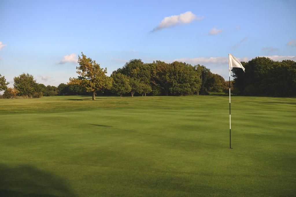 Epsom Downs Stock (20 of 23).jpg
