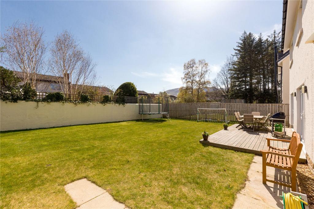 South-Facing Garden