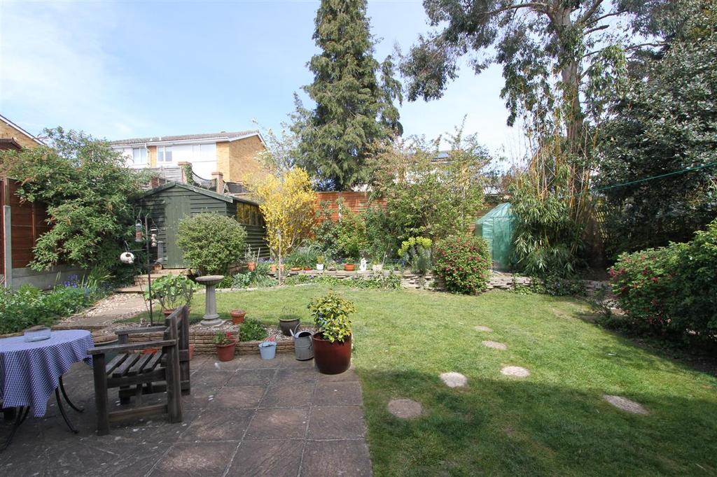 Outside - Rear