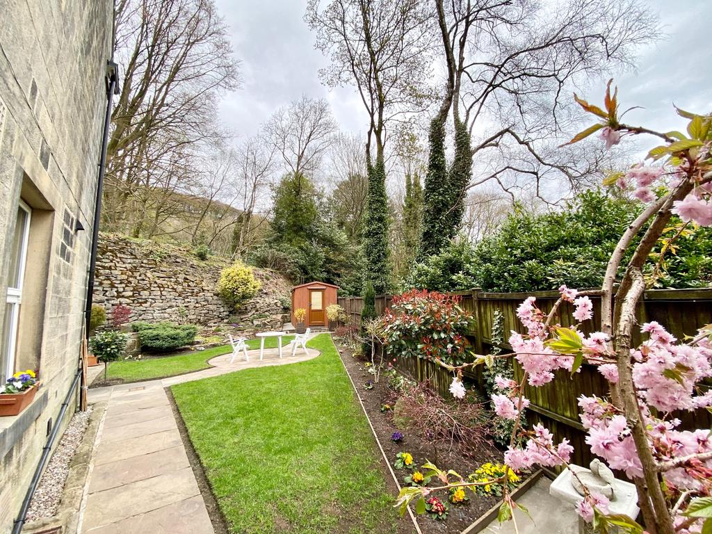 Side lawn and border