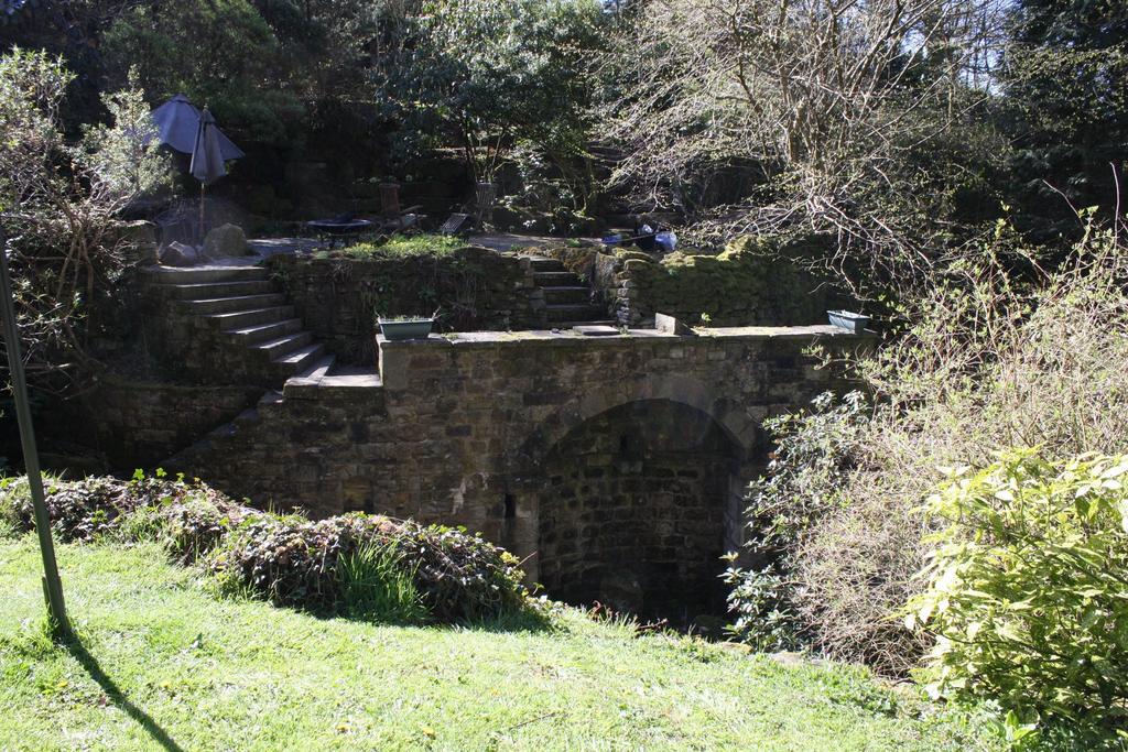 Photograph 22