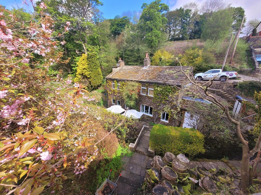 Photograph 25