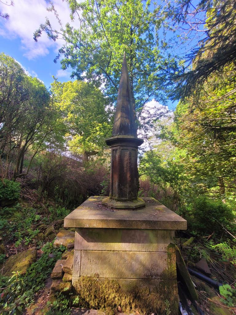 Photograph 35