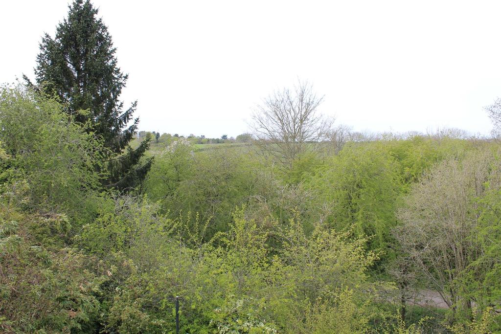 View to rear