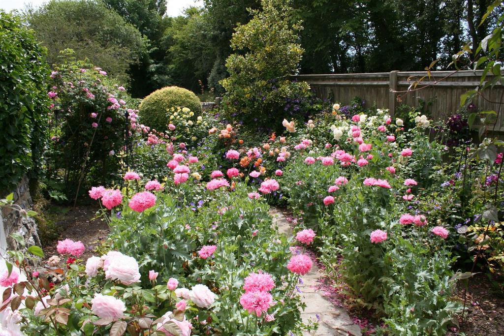Summer garden