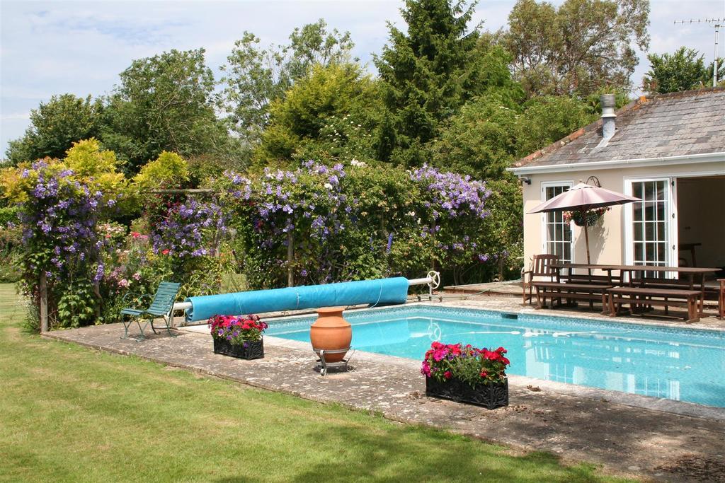 Summer Pool