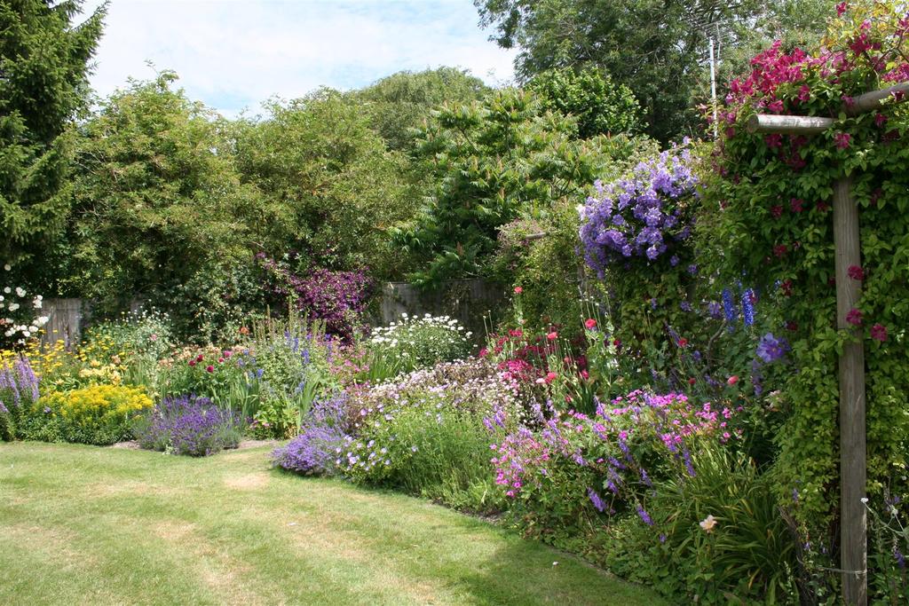Summer garden