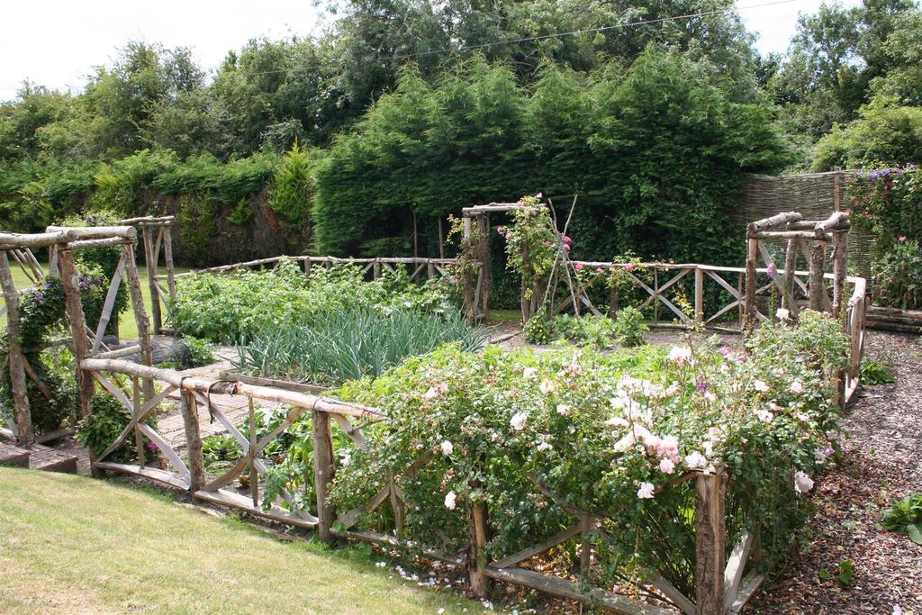 Summer garden