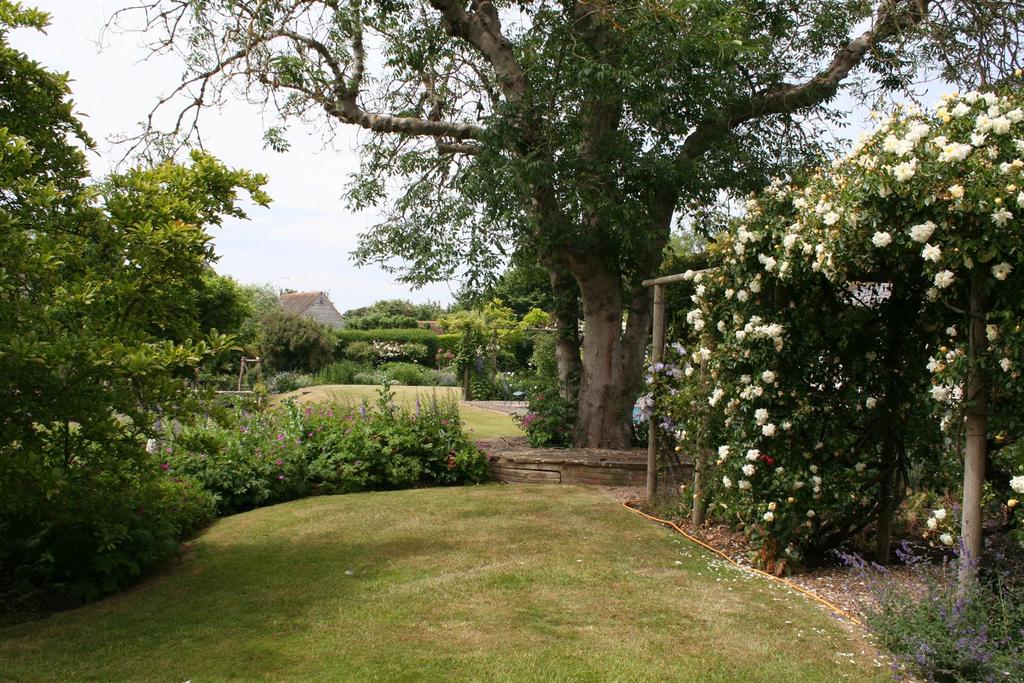 Summer Garden
