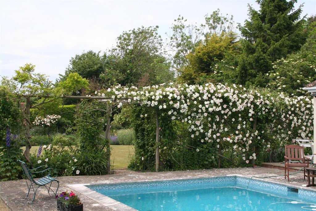Summer Pool
