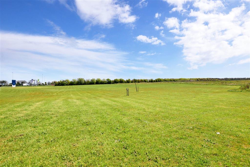 Surrounding Area