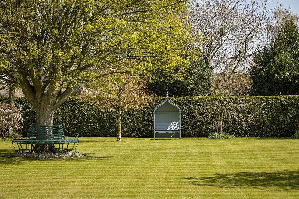 Lawn