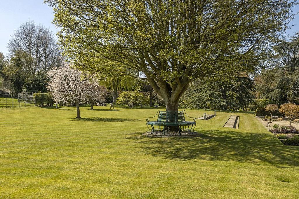 Landscaped Garden
