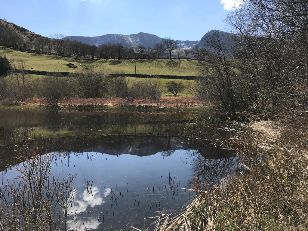 7 Acres of Gwernan Land, Dolgellau LL40 1TL Farm land £75,000