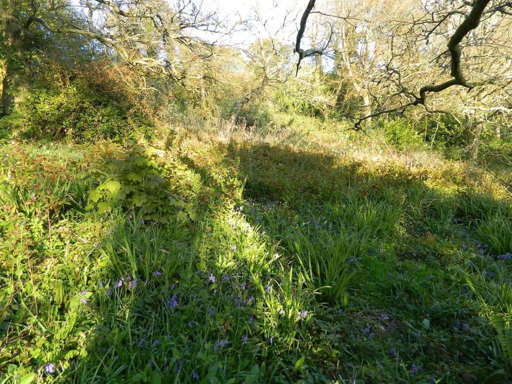 Dscn1080.jpg