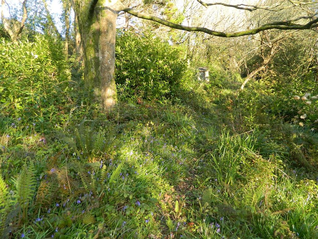 Pill Lane, Feock, Truro Farm land £20,000