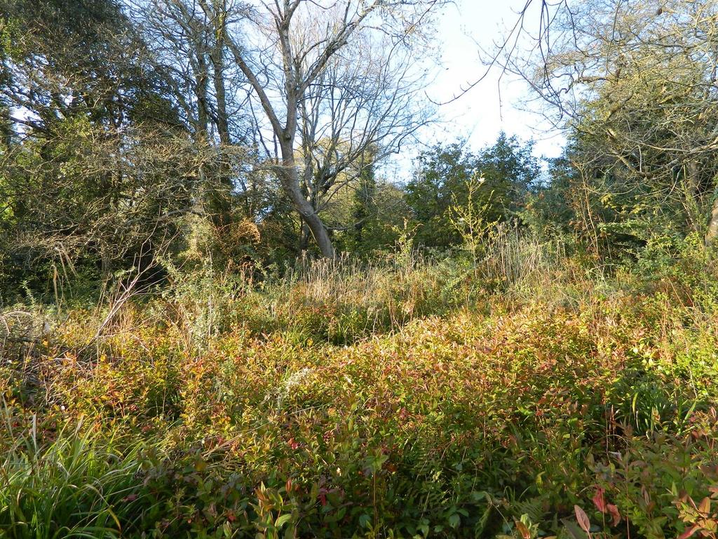 Dscn1081.jpg