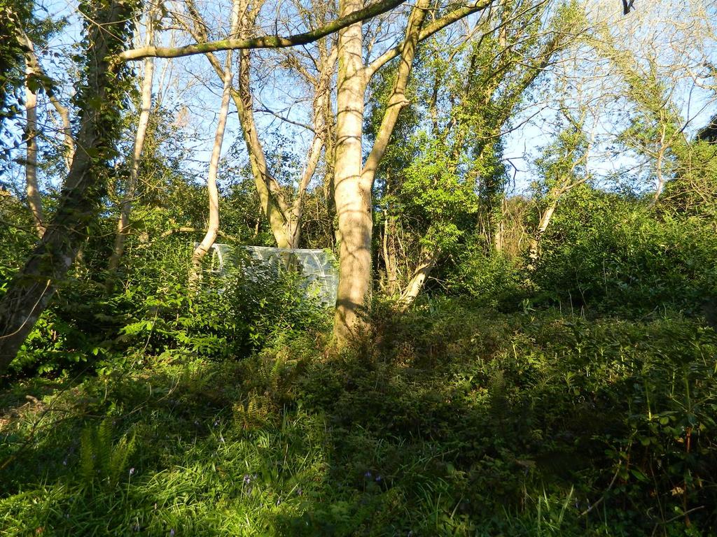 Dscn1085.jpg