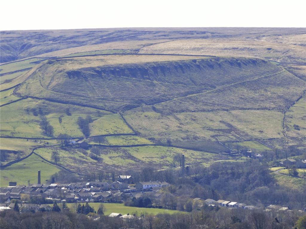 Musbury Tor: