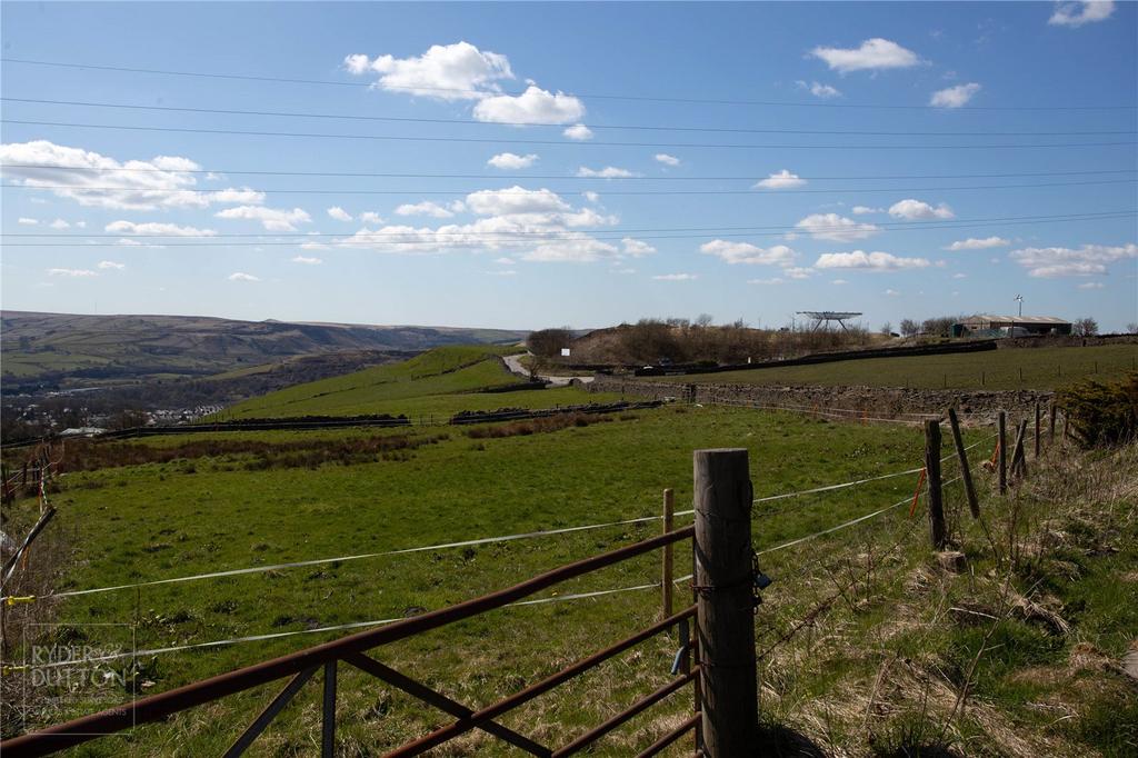 Paddock/Land: