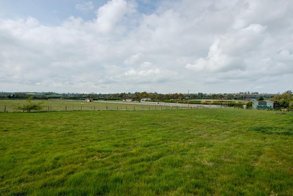 Grounds
