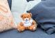 Smiffy Bear