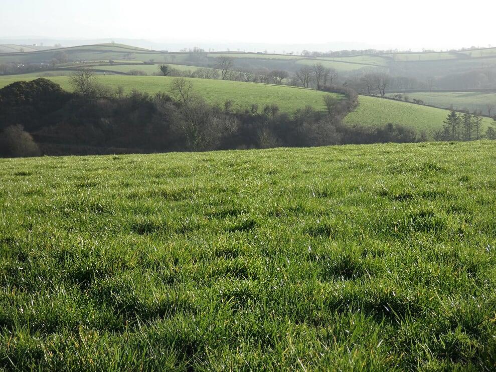 Land at Blaenweneirch