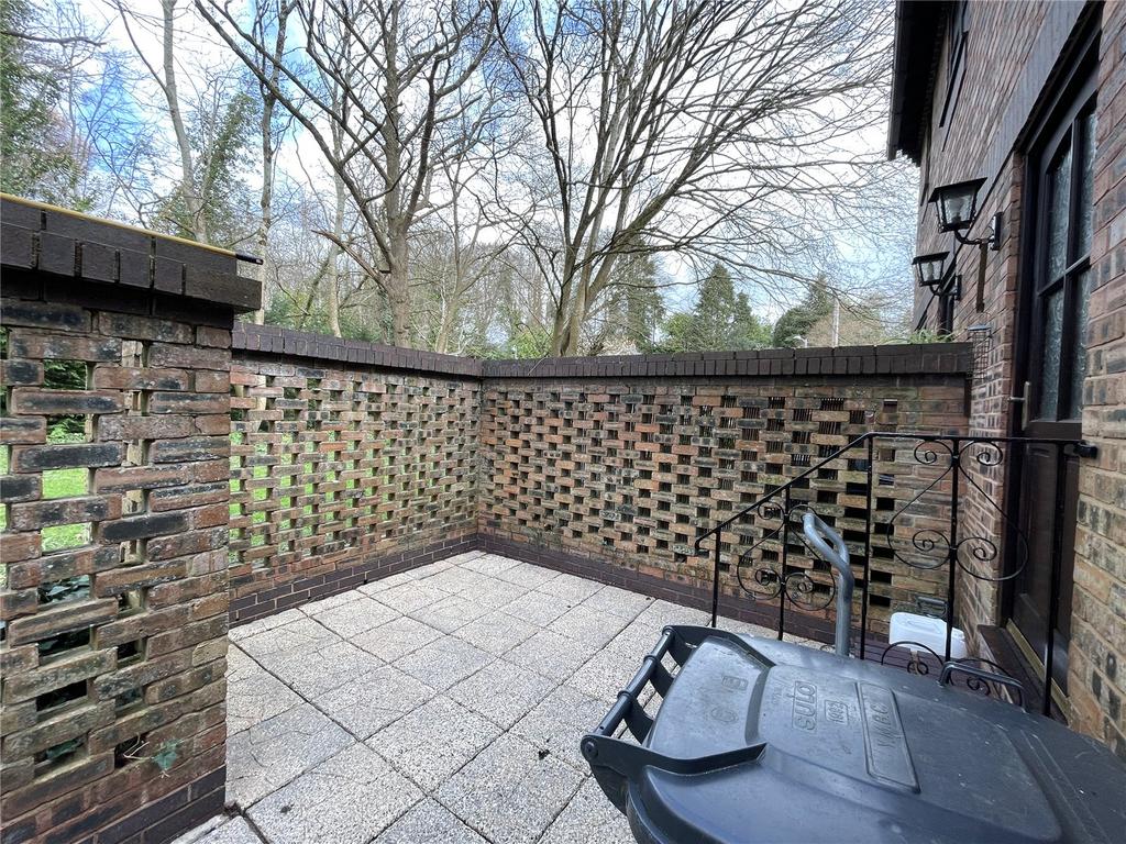 Rear Yard