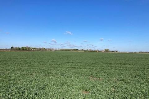 Farm for sale - 32.24ha (79.67ac) Arable Land, Crowland Road, Eye Green, Peterborough - Available as a Whole or in Two Lots