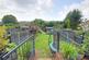 Garden new 5.jpg