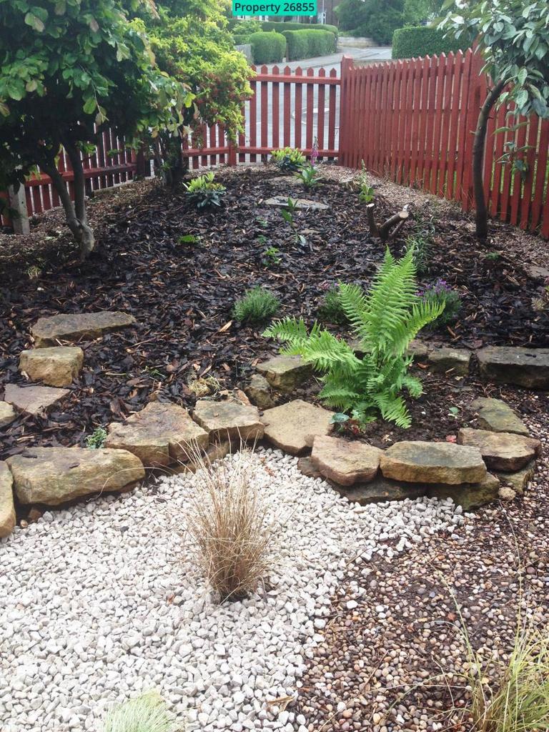 Easy Care Planting
