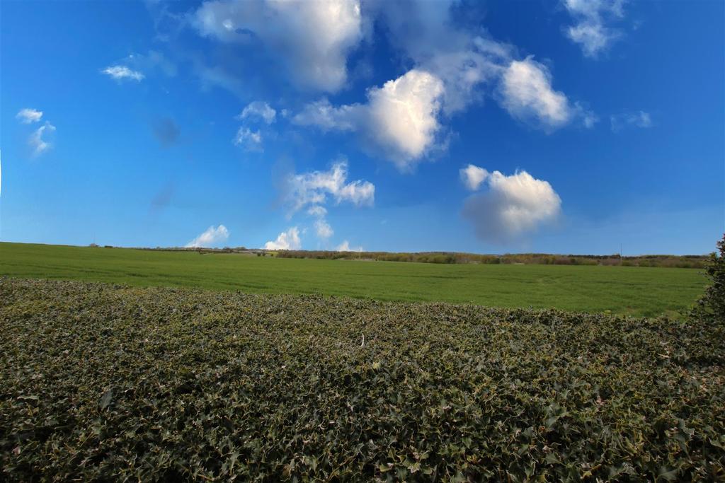 IMG 0747 1.jpg