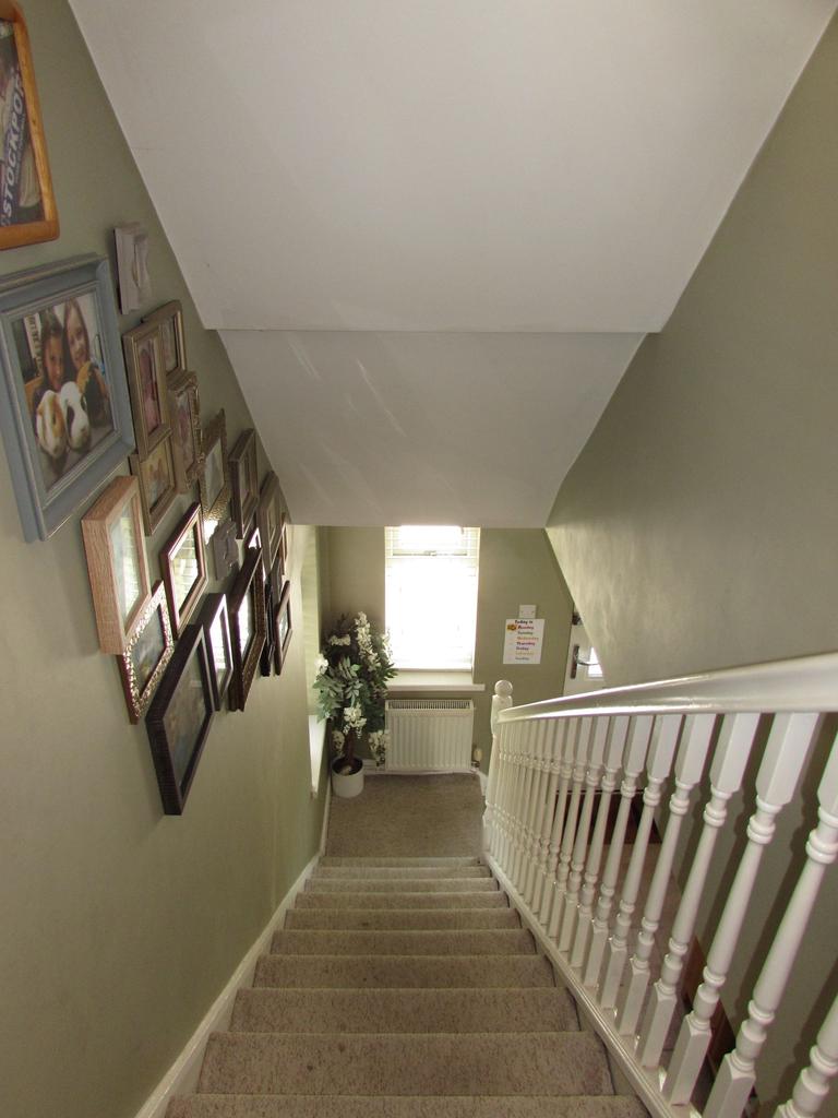 Photograph 26