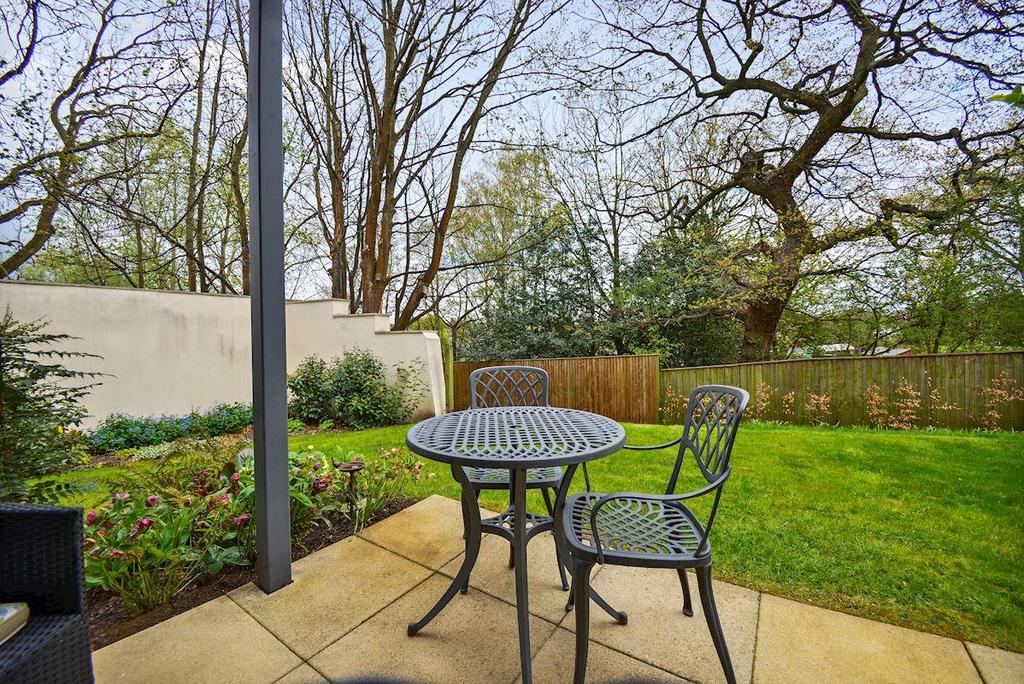 Patio view.jpg