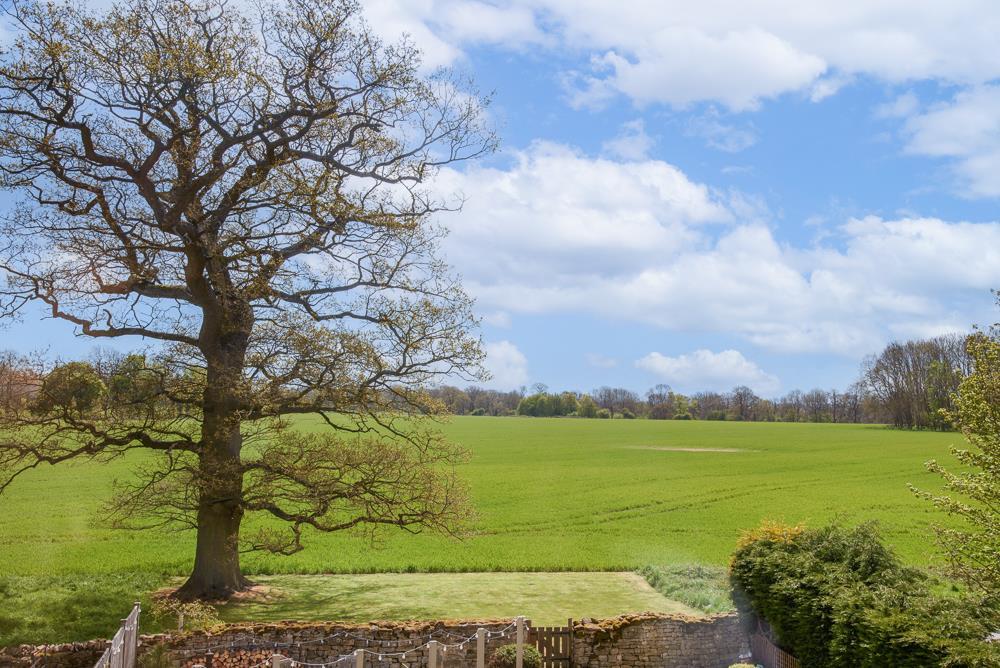 Field Views