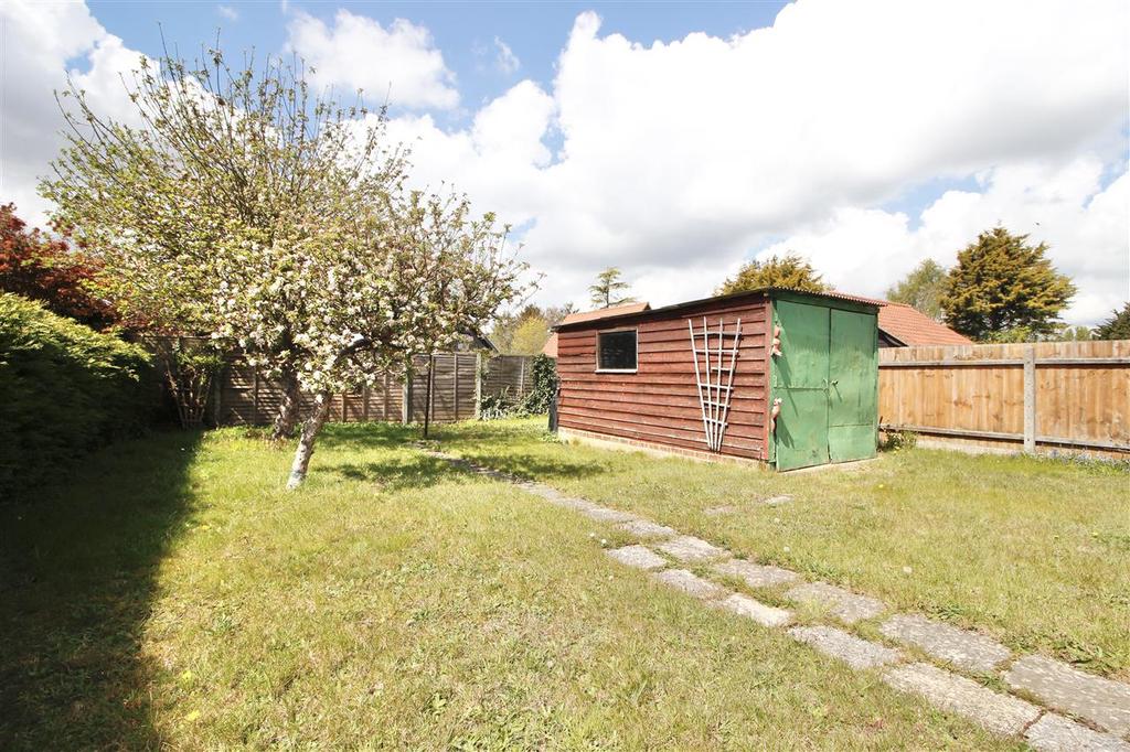 Outside - Rear