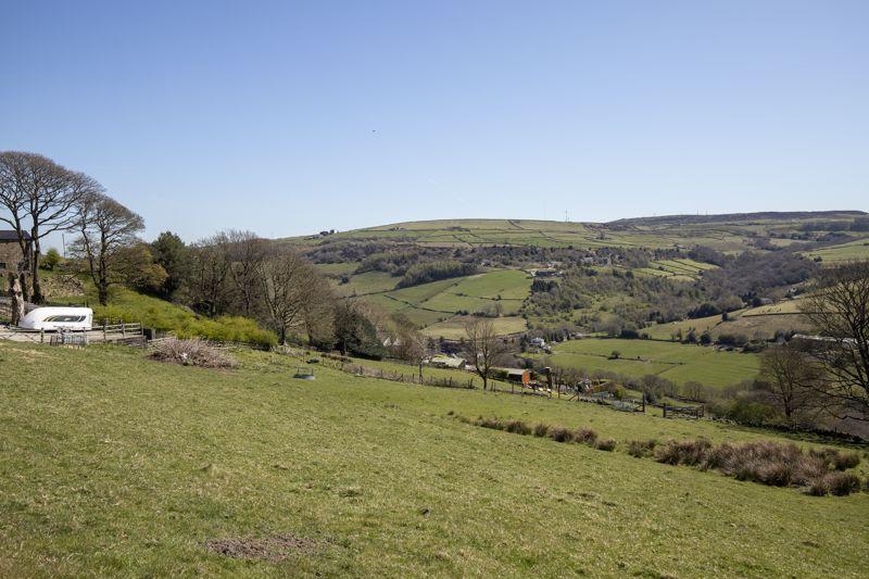Land and View