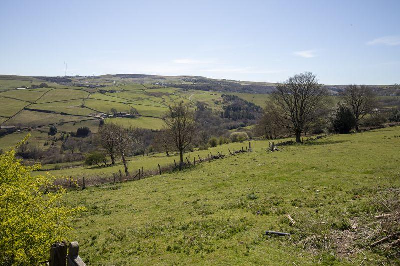 Land and View